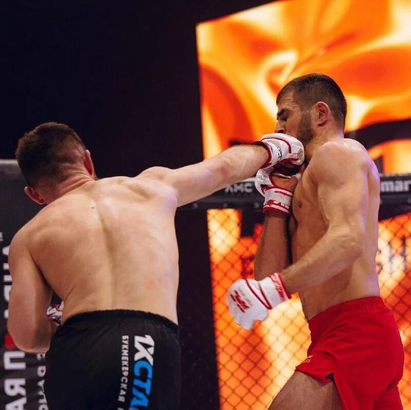 Морис fight nights. Амс fight nights. Кард файт найт. Турнир amc fight night. Морис чемпион файт найт.