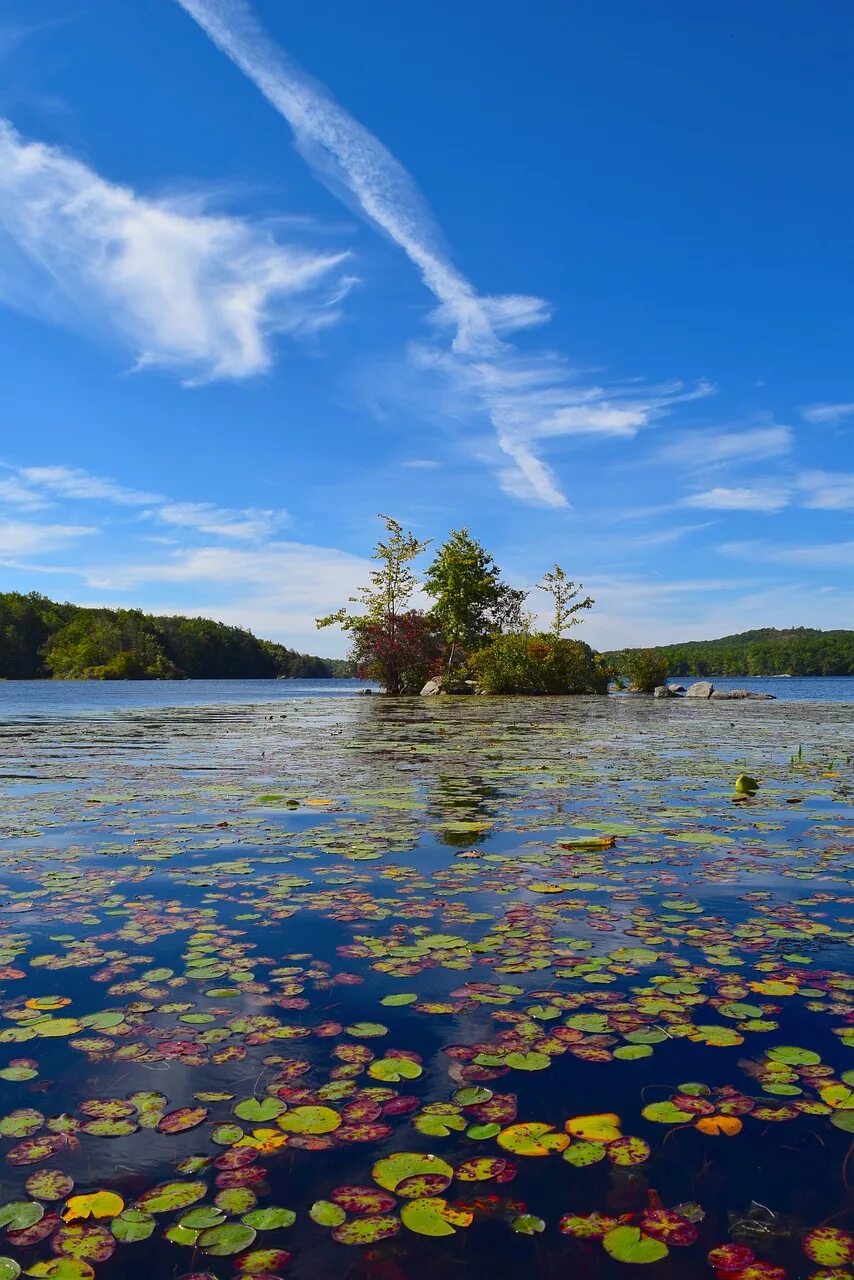 Island вода