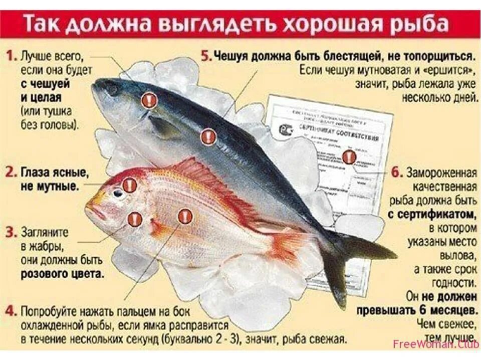Что значит есть рыбу
