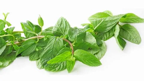 Mixed leaves
