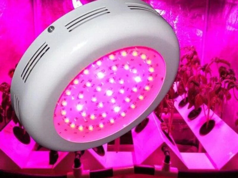 Нова свет светильник. Светильник led ufo light. ufo лампа лед. ac-85 led светильник. led ufo grow.