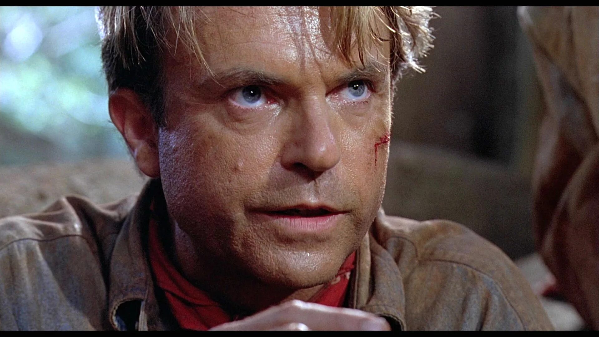 Кто является разработчиком jurassic park