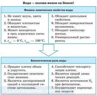 Вода биология 10 класс