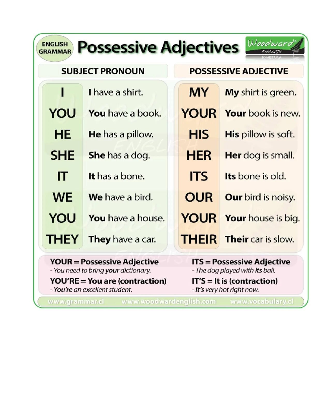 Its перевод на русский. Possessive adjectives. Possessive adjectives примеры. Предложения с possessive adjectives. Possessive adjectives possessive.