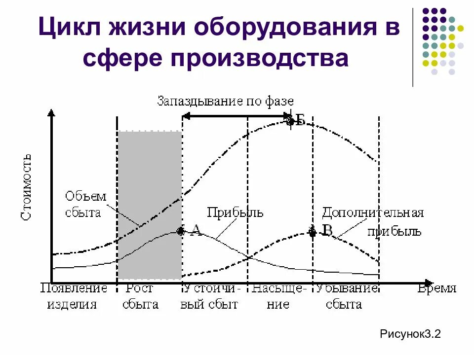 Жизненный цикл культуры