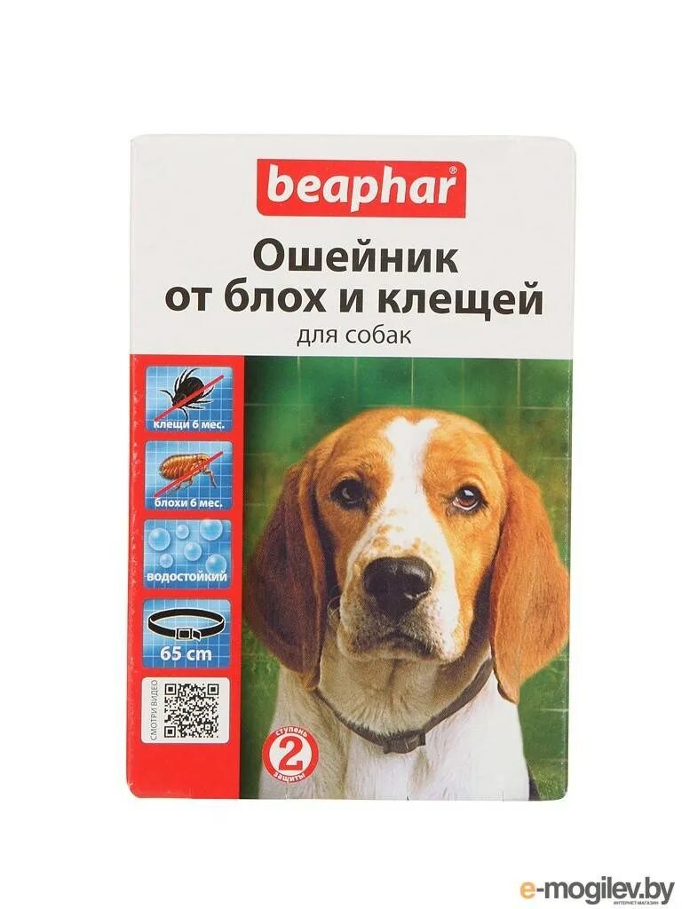 Биоошейник от блох. Силиконовый ошейник для кошек. Ошейник для кота от блох красный. Ошейник для животных от клещей. Ошейник от клещей.