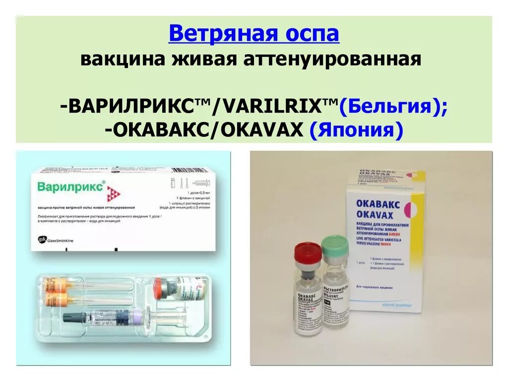 Приготовить вакцину в домашних условиях. Вакцина против ветряной оспы Варилрикс. Прививка против ветряной оспы детям схема. Вакцина ветряная оспа Варилрикс. Ветряная оспа вакцина Окавакс.