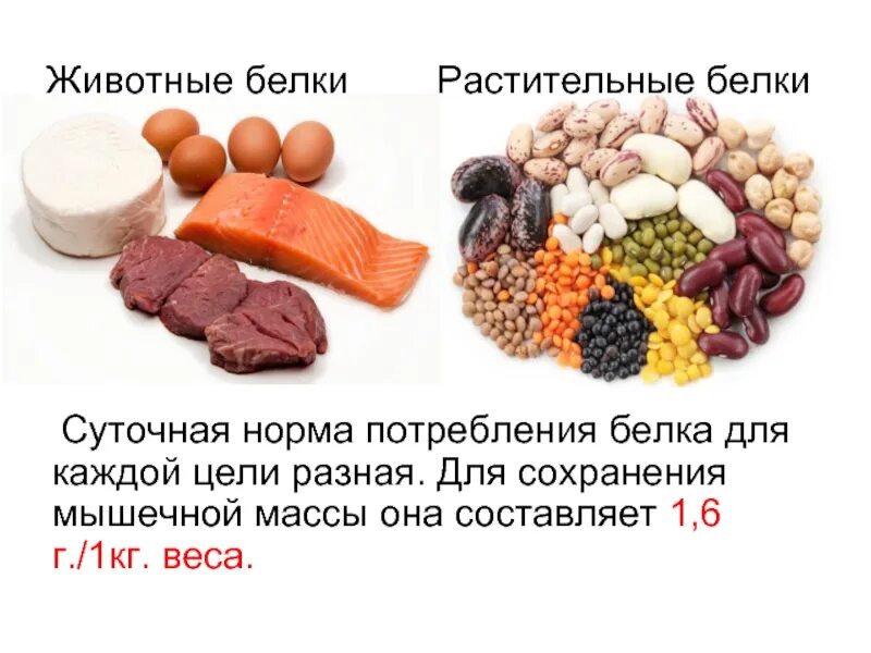 Нужен белок что съесть. Растительный белок продукты. Белки для набора мышечной массы. Источники белка растительного происхождения. Питание белки.