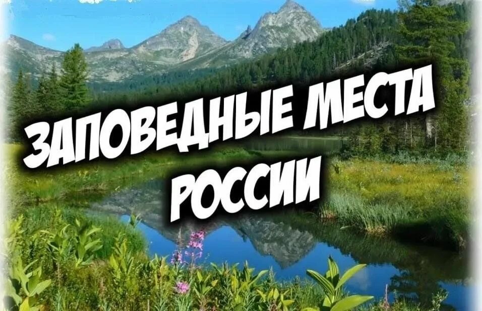 Туристы в заповеднике. Енисей столбы красноярские. Ольхон туризм. Гора ельнюн в лапландском заповеднике. Гора белуха, горный алтай.