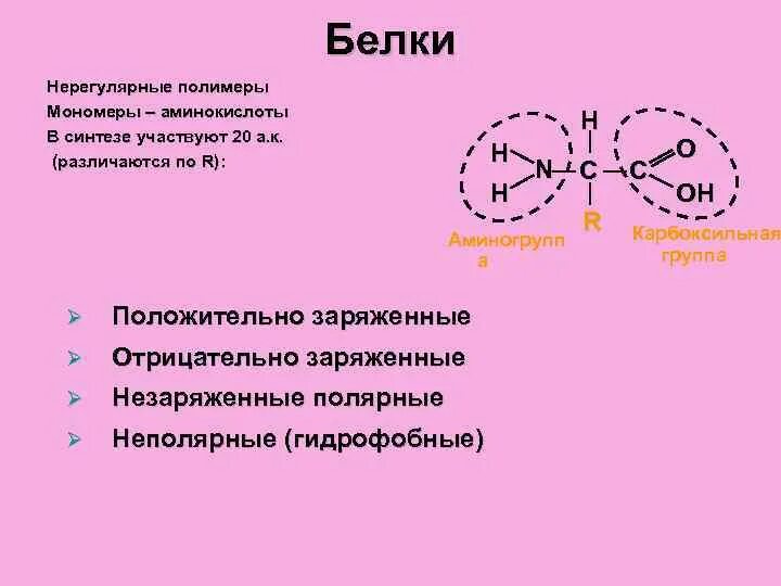 Соединение мономера белка. Белки нерегулярные полимеры. Аминокислоты мономеры белков. Мономеры и полимеры белков. Биосинтез белка полимеры мономеры.