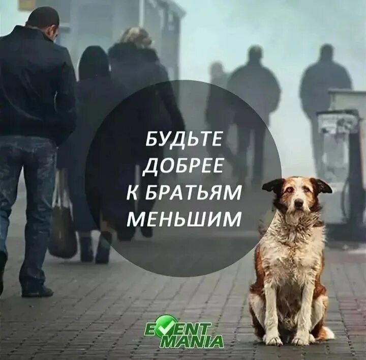 Защита братьев меньших