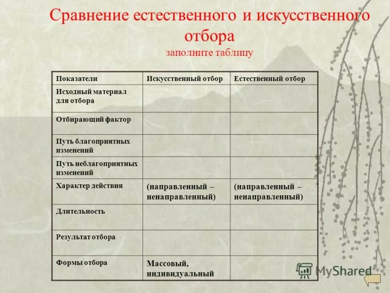 Сходство и отличие естественного и искусственного отбора