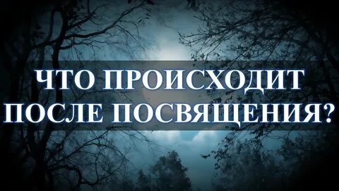 После посвящения