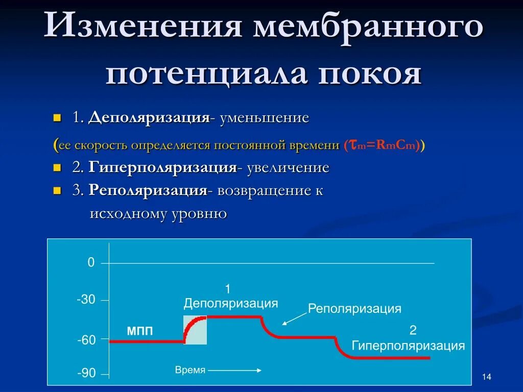 Потенциальный параметр. Мембранный потенциал деполяризация мембраны. Мембранный потенциал покоя физиология. Изменение величины мембранного потенциала. Увеличение величины мембранного потенциала.