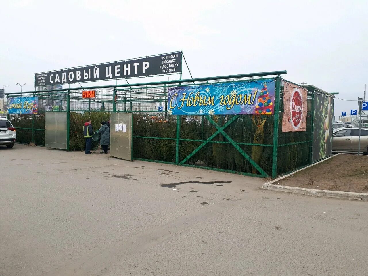 Садовый центр 1 отзывы. Садовый центр. садовый центр 1. садовый центр в махачкале. садовый центр авангард электросталь.