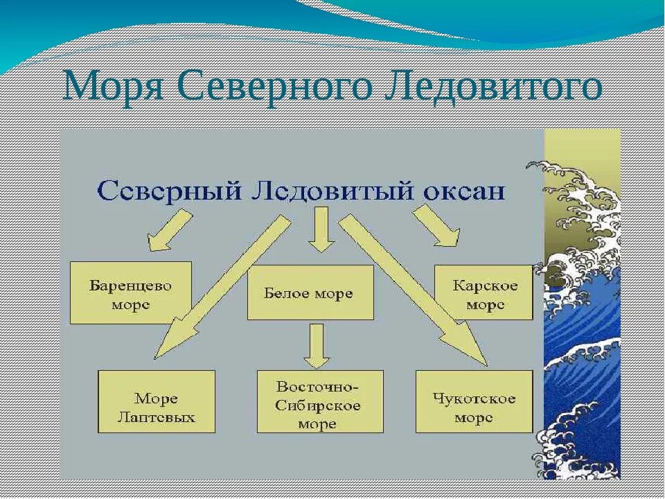 5 океанов россии. Моря Северного Ледовитого океана. Моря омывающие северно Ледовитый океан. Моря омывающие Россию Северо Ледовитого океана. Моря омывающие территорию России моря Северного Ледовитого океана.