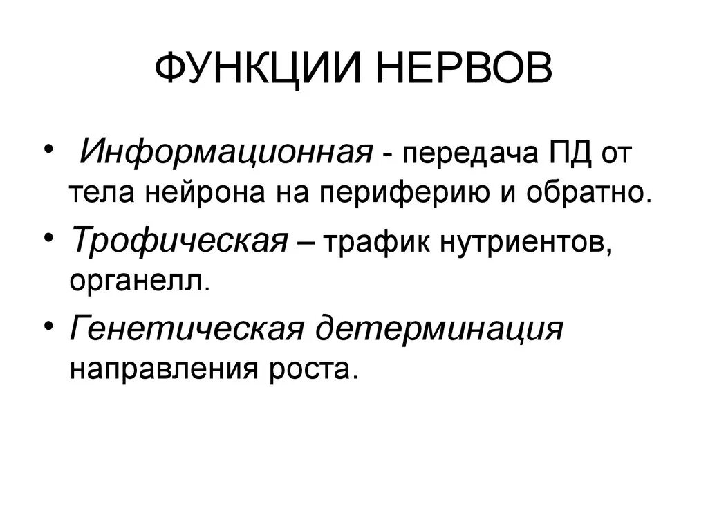 Функции нервов. Нервы функции. Функции нерва. Нервы функции кратко.