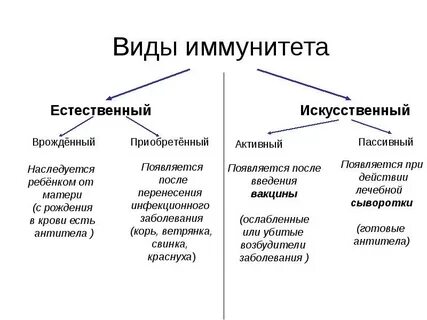 Схема виды иммунитета биология 8 класс