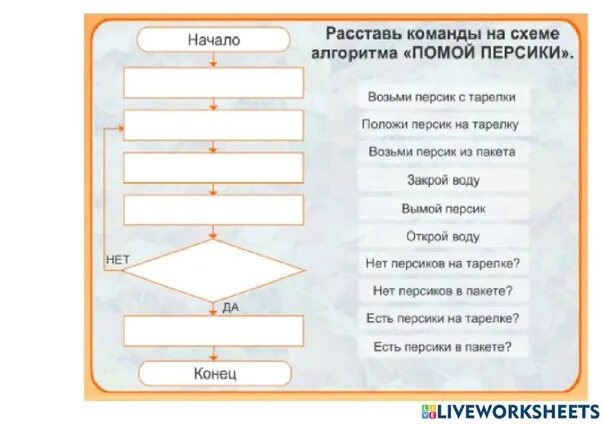 Схема 5 класс информатика. Линейный алгоритм 4 класс Информатика задания. Задачи по информатике 4 класс на алгоритмы. Зажачк алгоритм по информатике. Что такое алгоритм в информатике.