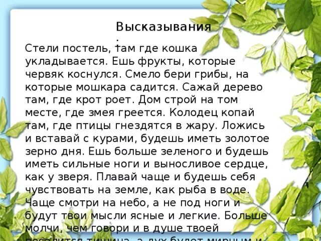 Притчи про змей. Притча о змее и пиле. Притча про змею и пилу. Притча о змее и птицах. Строй дом там где змея.