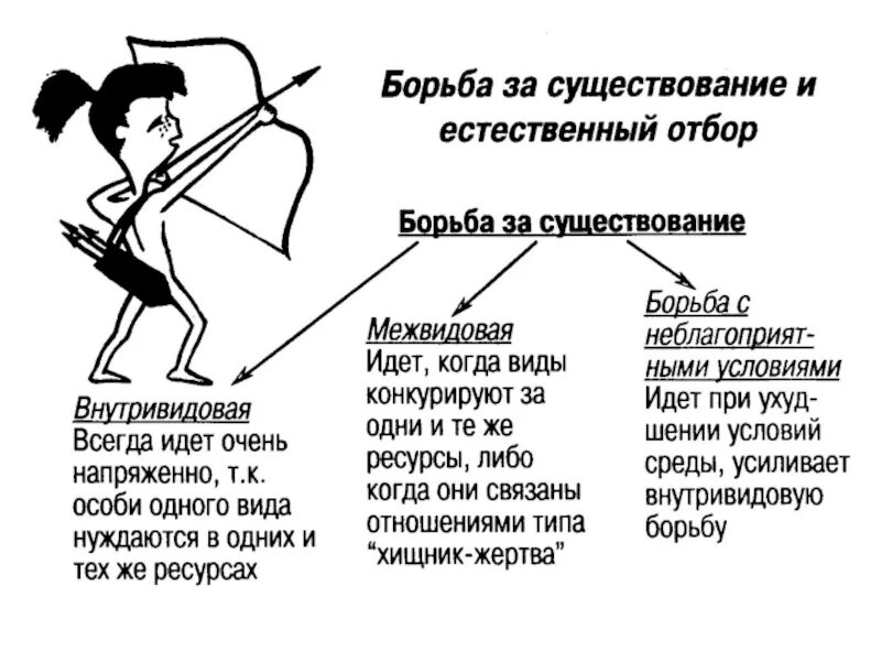 Схема борьба за существование и естественный отбор. ,JHM,F PF ceotcndjdfybt b tcntcndtyysq JN,JH. Биология борьба за существование и естественный отбор. ,JHM,F PF ceotcndjdfybt естественный отбор. Тест по биологии естественный отбор 9 класс