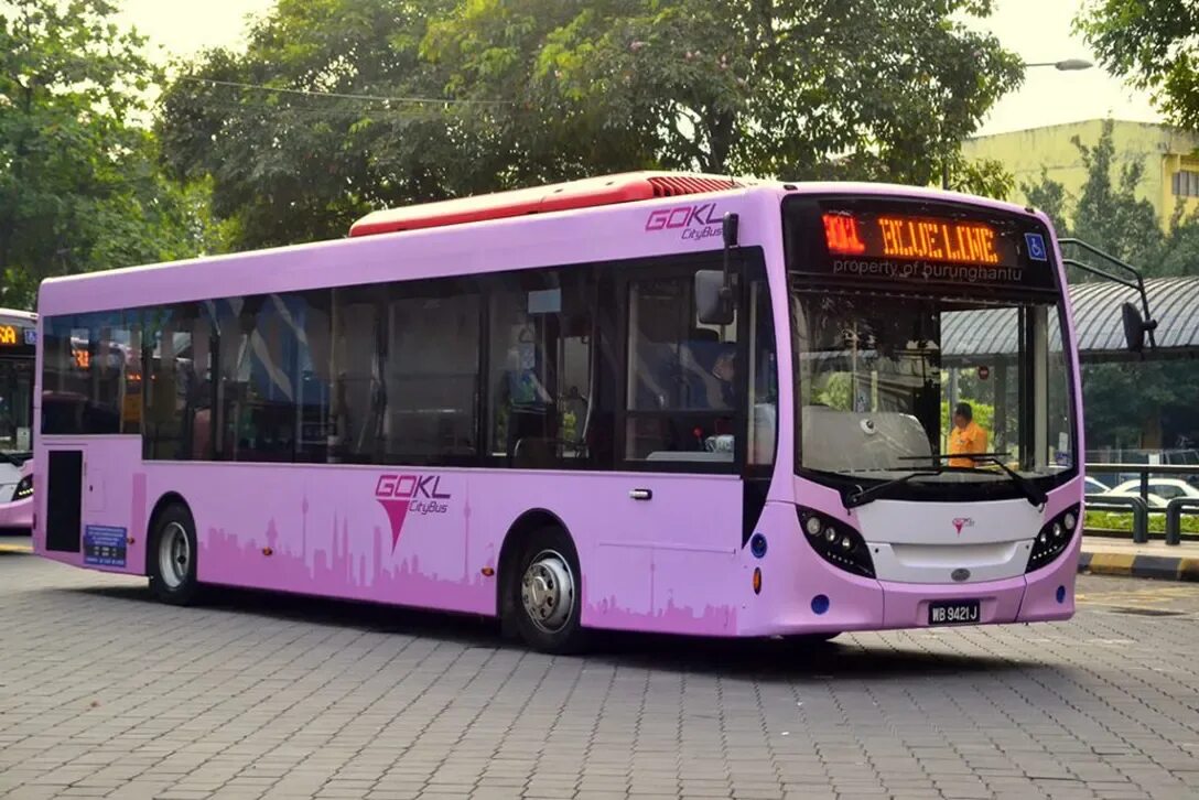 City lines bus. Go kl city bus. green city bus. go by bus. gokl.