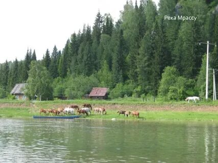 Камера мыски река мрассу