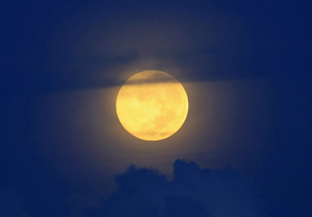 Луна. Желтая Луна. Яркая Луна. Луна на небе.