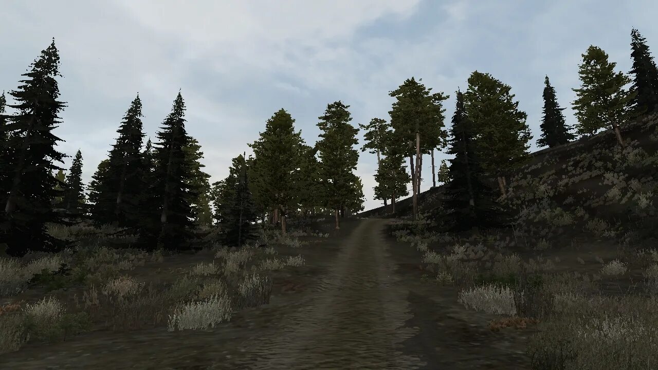 Dayz zavr