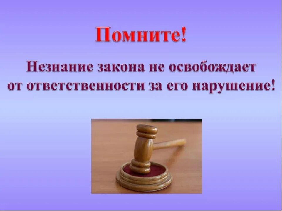 Незнание закона не освобождает от ответственности. Знать закон смолоду. Знай закон смолоду. Закон и ответственность. Бесполезный закон