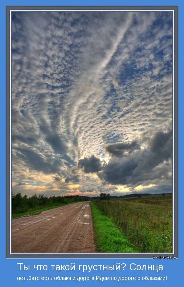 солнце счастье. рассвет на лугу. позитивные картинки. рассвет над лугом. художница виктория кирдий "про умниц и красавиц".