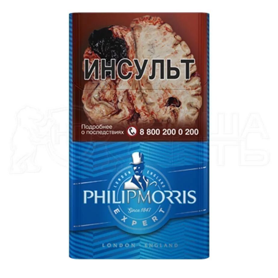 Моррис сигареты компакт. Сигареты Philip Morris Expert. Сигареты Philip Morris Compact Expert. Philip Morris Compact Signature. Сигареты Philip Morris Compact Signature.