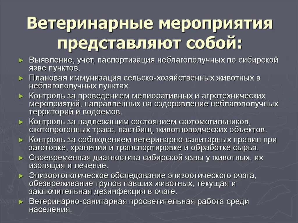 Организация ветеринарного контроля. Ветеринарно-санитарные мероприятия. Проведение ветеринарно санитарных мероприятий. Осуществление профилактических ветеринарно-санитарных мероприятий. План ветеринарно-санитарных мероприятий.