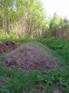 Гряды новгородская