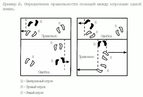 Волейбол позиции игроков и названия