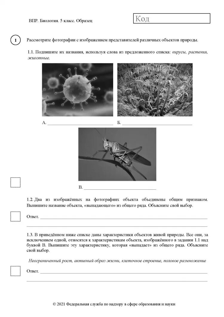 ВПР 5 класс биология ответ 2.2. Биология 5 класс ВПР 2020 задание 7 ответы. Биология 5 класс ВПР 2020 задание 6 ответы. ВПР 5 класс биология 2022 с ответами. Впр био 8