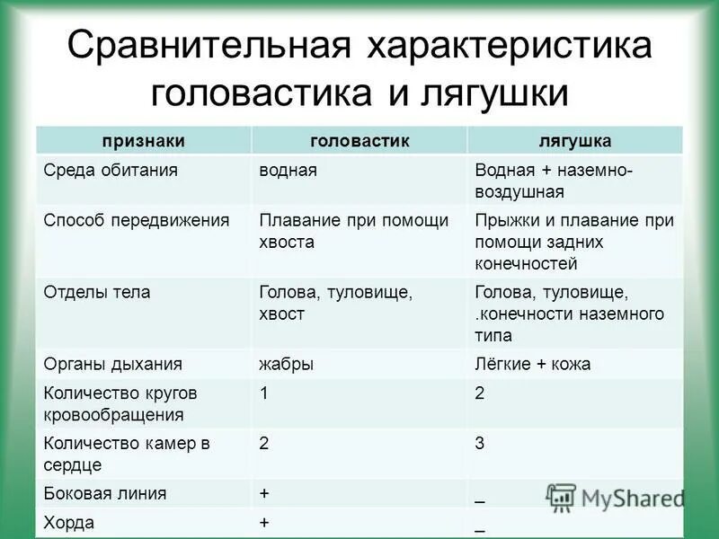 Рыба сходства и различия. Сравнительная характеристика головастика и лягушки. Характеристика головастика лягушки. Признаки лягушки и головастика таблица. Стадии развития головастиков лягушки таблица.