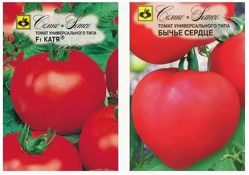 Томат катенька. Томат катя f1. Семена томат катрина. Томат катя f1. Томат катя.