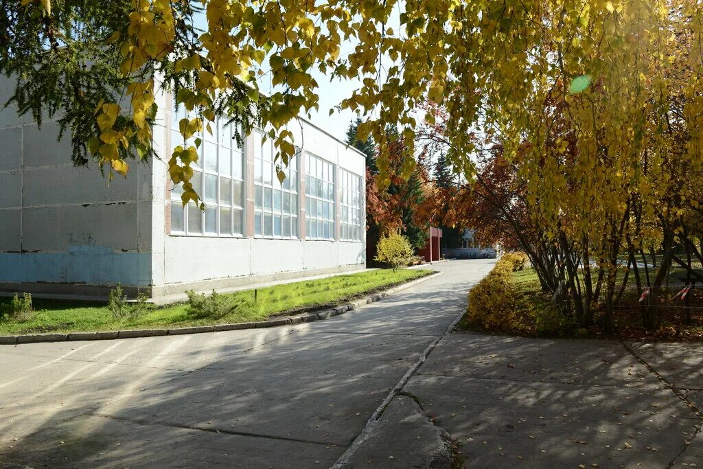 Школа гимназия краснообск. Школа краснообск новосибирск. Лицеисты новосибирского лицея 13 краснообск. Краснообск гимназия новая. Гимназия краснообская новосибирск.