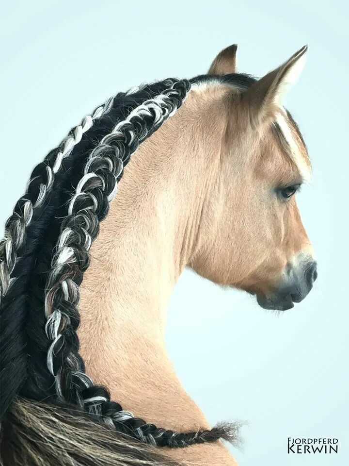 A Gorgeous Summer Horse Hairstyle To Try This Weekend Horse mane braids, Horse b