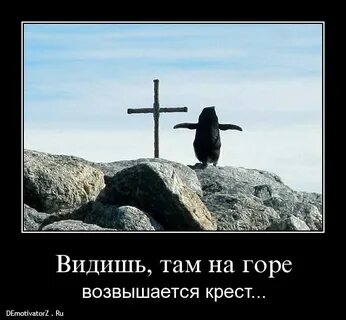 Где там на горе возвышается