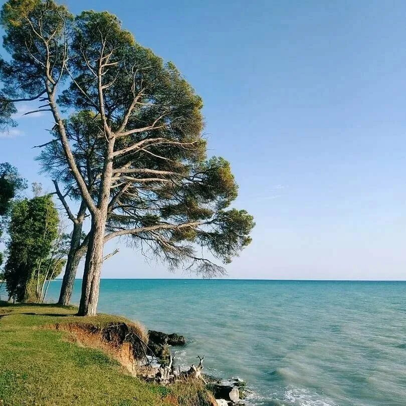 Погода в пицунде вода в море. Пицунда Абхазия. Мыс Пицунда Абхазия. Пицунда Абхазия море. Пляж Пицунда Абхазия.