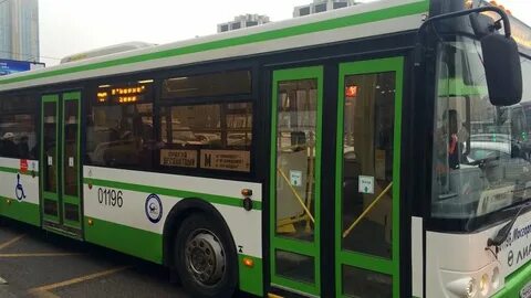 Автобусы шаховская москва на завтра