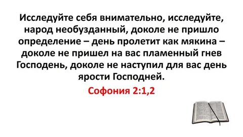Пришлют оценку