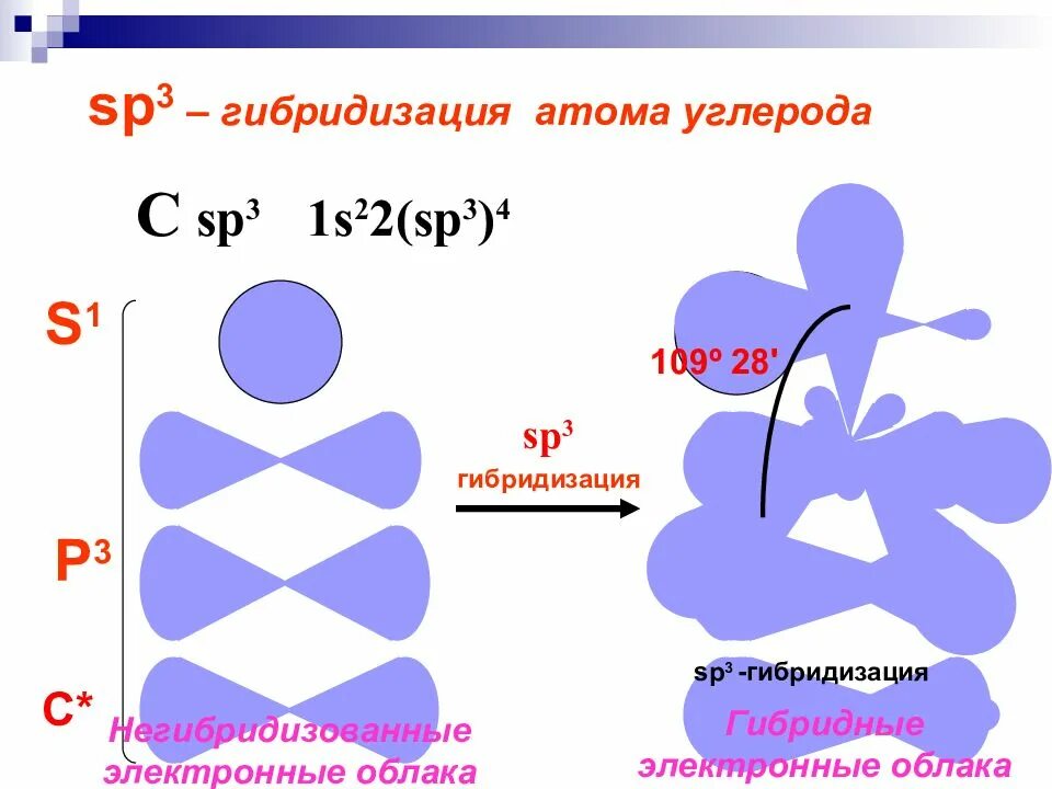 Sp3 гибридизация углерода в органических соединениях. Sp3 гибридизация атома углерода. Sp2 гибридизация атома углерода. Гибридизация атомов углерода.