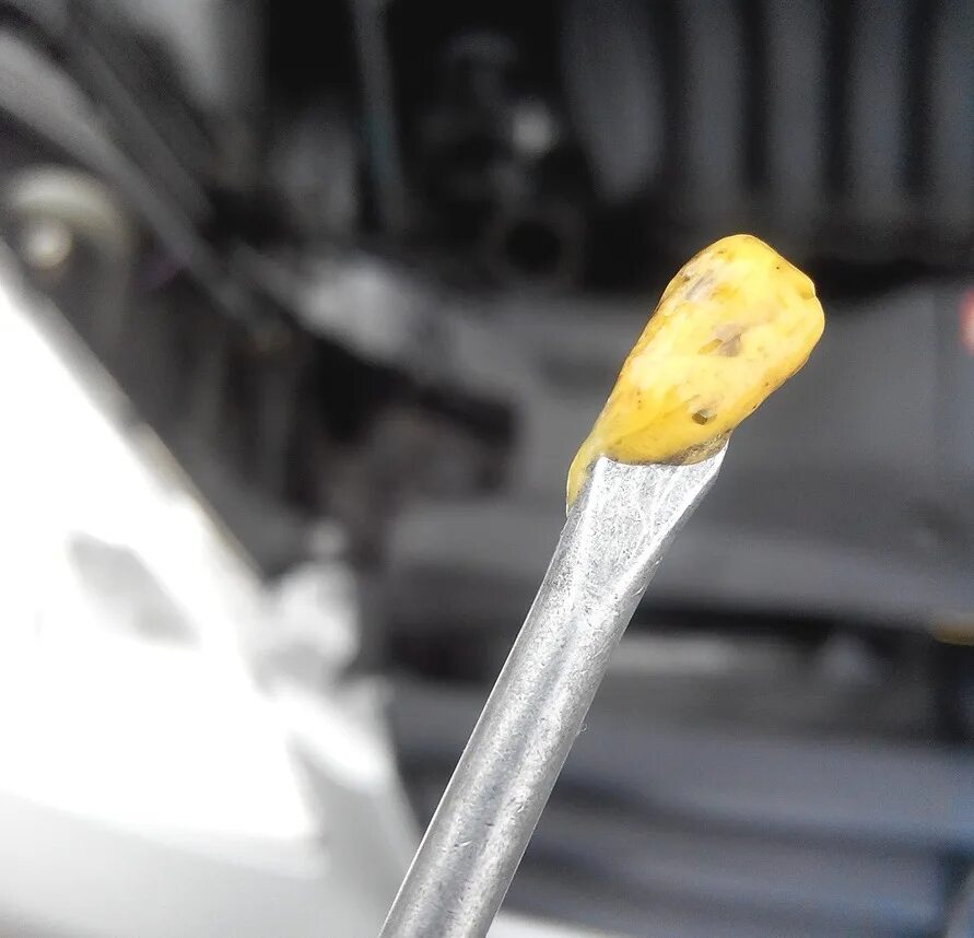 Эмульсия в двигателе на щупе. Тосол на щупе. Эмульсия в двигателе на щупе. 8 на щупе эмульсия. Масляный щуп лачетти.