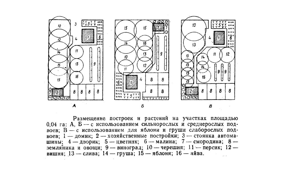 Компактная схема. Схема посадки плодовых деревьев и кустарников на участке. Схема посадки плодовых деревьев и кустарников на участке 6. Схема посадки плодовых деревьев на участке 4 сотки. Схема посадки плодового сада.