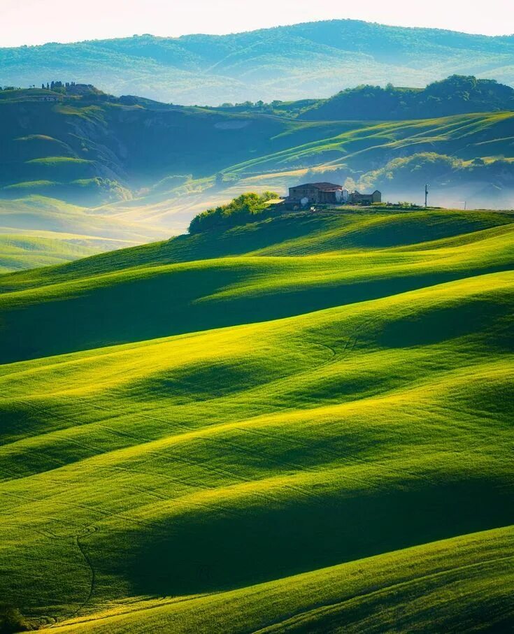 Зеленое поле. Green view. Дерево на холме. Дерево на холме. Альпийские луга германии.