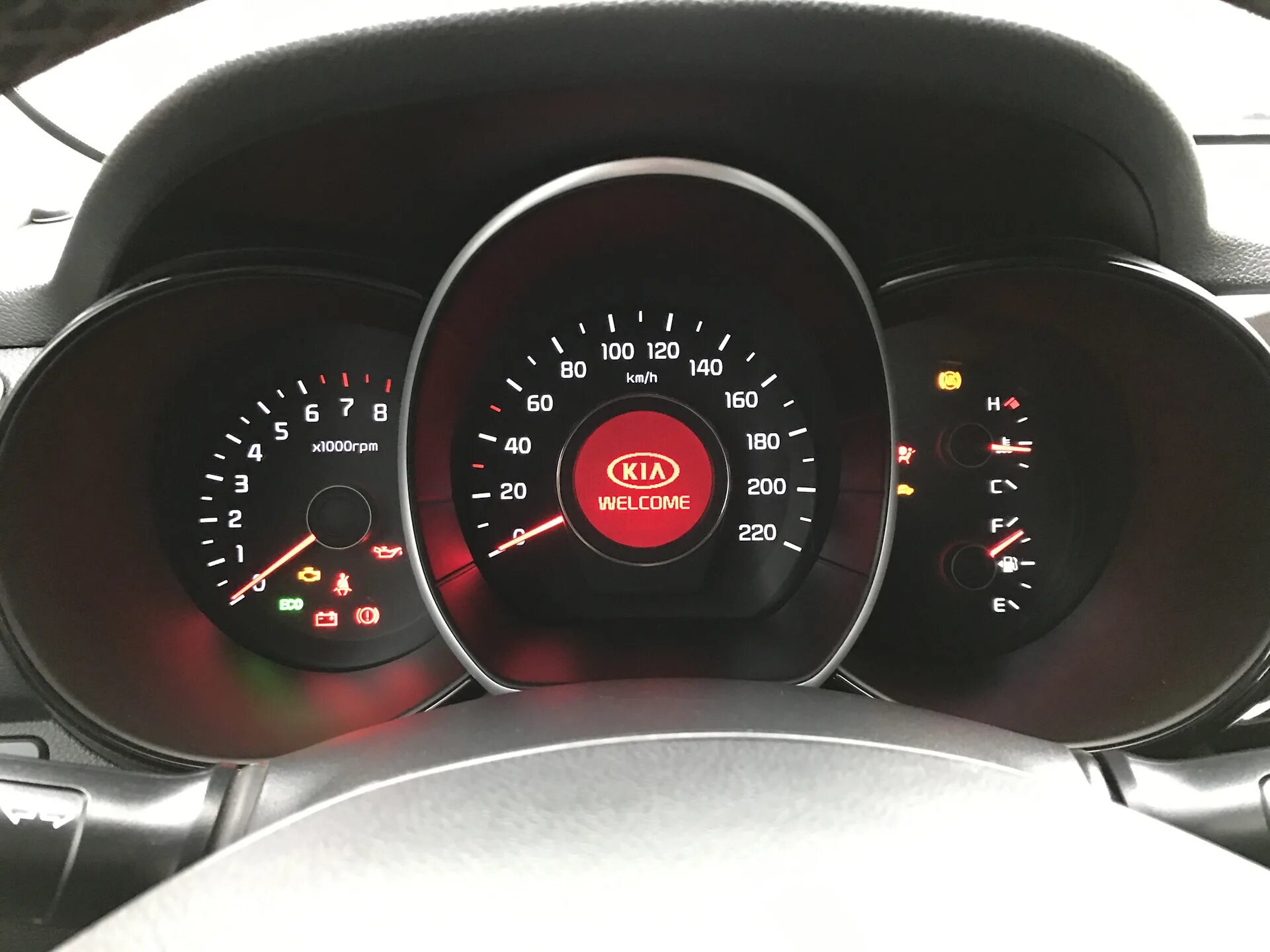 Фото KIA Rio (2015 - 2016) поколение III рестайлинг - Вставки под карбон выглядя