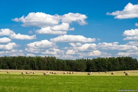 Середина картинка